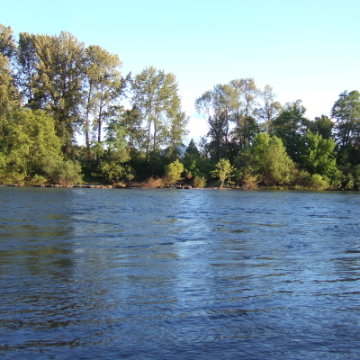 윌래밋 강(Willamette River), 첫번째