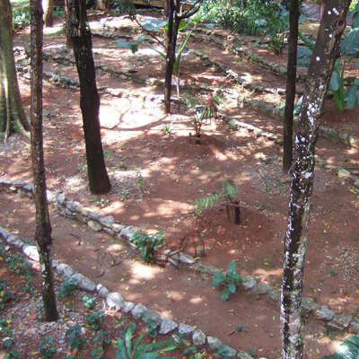 푸트라자야 식물원(Taman Botani Putrajaya)